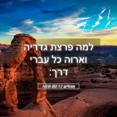 Picture 05 - תהלים 80:12 HEB - למה פרצת גדריה וארוה כל - Bible Verse Picture
