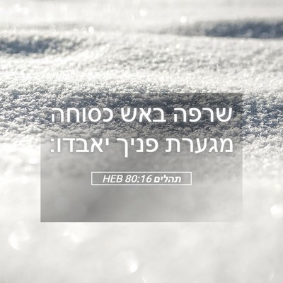 Picture 05 - תהלים 80:16 HEB - שרפה באש כסוחה מגערת פניך - Bible Verse Picture