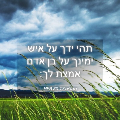 Picture 05 - תהלים 80:17 HEB - תהי ידך על איש ימינך על בן - Bible Verse Picture