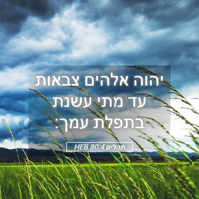 Picture 05 - תהלים 80:4 HEB - יהוה אלהים צבאות עד מתי - Bible Verse Picture