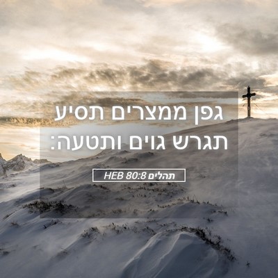 Picture 05 - תהלים 80:8 HEB - גפן ממצרים תסיע תגרש גוים - Bible Verse Picture