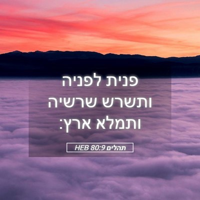 Picture 05 - תהלים 80:9 HEB - פנית לפניה ותשרש שרשיה - Bible Verse Picture