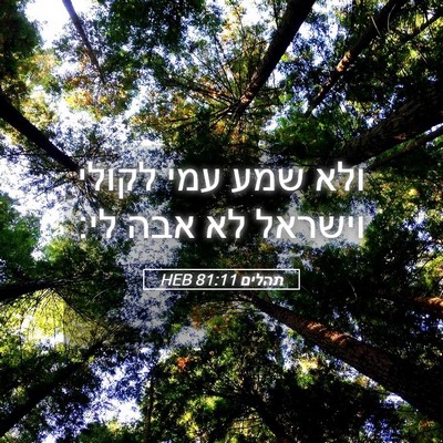 Picture 05 - תהלים 81:11 HEB - ולא שמע עמי לקולי וישראל לא - Bible Verse Picture