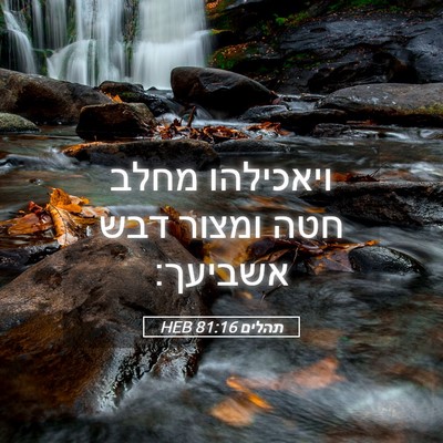 Picture 05 - תהלים 81:16 HEB - ויאכילהו מחלב חטה ומצור - Bible Verse Picture