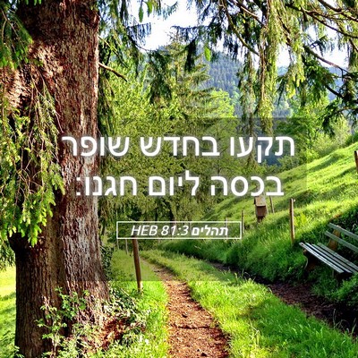 Picture 05 - תהלים 81:3 HEB - תקעו בחדש שופר בכסה ליום - Bible Verse Picture