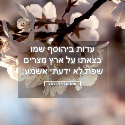 Picture 05 - תהלים 81:5 HEB - עדות ביהוסף שמו בצאתו על - Bible Verse Picture