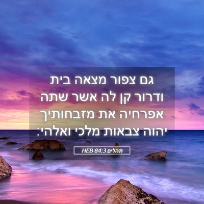 Picture 05 - תהלים 84:3 HEB - גם צפור מצאה בית ודרור קן - Bible Verse Picture