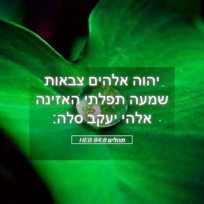 Picture 05 - תהלים 84:8 HEB - יהוה אלהים צבאות שמעה - Bible Verse Picture