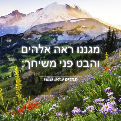 Picture 05 - תהלים 84:9 HEB - מגננו ראה אלהים והבט פני - Bible Verse Picture