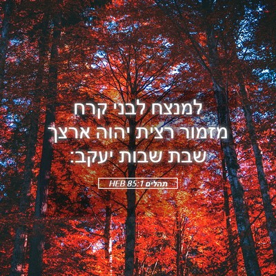 Picture 05 - תהלים 85:1 HEB - למנצח לבני קרח מזמור רצית - Bible Verse Picture