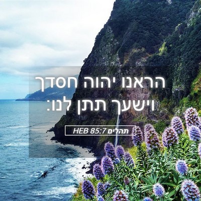 Picture 05 - תהלים 85:7 HEB - הראנו יהוה חסדך וישעך תתן - Bible Verse Picture