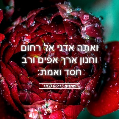 Picture 05 - תהלים 86:15 HEB - ואתה אדני אל רחום וחנון ארך - Bible Verse Picture