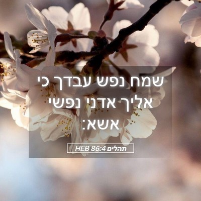 Picture 05 - תהלים 86:4 HEB - שמח נפש עבדך כי אליך אדני - Bible Verse Picture