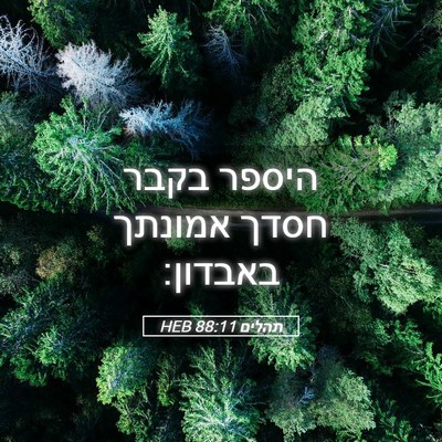 Picture 05 - תהלים 88:11 HEB - היספר בקבר חסדך אמונתך - Bible Verse Picture