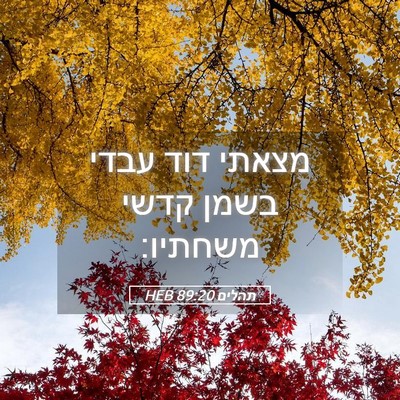 Picture 05 - תהלים 89:20 HEB - מצאתי דוד עבדי בשמן קדשי - Bible Verse Picture