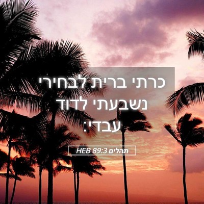 Picture 05 - תהלים 89:3 HEB - כרתי ברית לבחירי נשבעתי - Bible Verse Picture