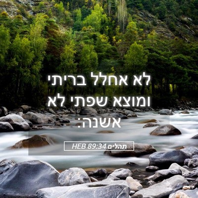 Picture 05 - תהלים 89:34 HEB - לא אחלל בריתי ומוצא שפתי לא - Bible Verse Picture