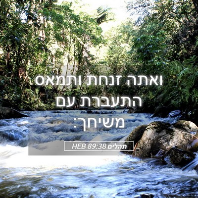 Picture 05 - תהלים 89:38 HEB - ואתה זנחת ותמאס התעברת עם - Bible Verse Picture