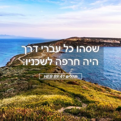 Picture 05 - תהלים 89:41 HEB - שסהו כל עברי דרך היה חרפה - Bible Verse Picture