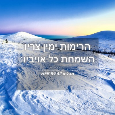 Picture 05 - תהלים 89:42 HEB - הרימות ימין צריו השמחת כל - Bible Verse Picture