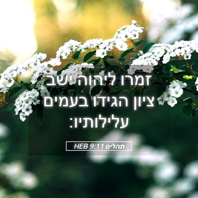 Picture 05 - תהלים 9:11 HEB - זמרו ליהוה ישב ציון הגידו - Bible Verse Picture