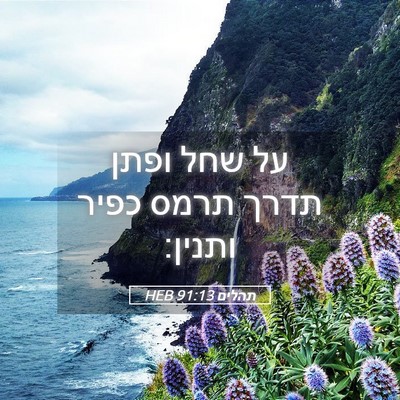 Picture 05 - תהלים 91:13 HEB - על שחל ופתן תדרך תרמס כפיר - Bible Verse Picture