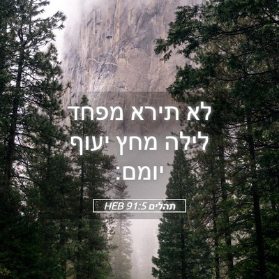Picture 05 - תהלים 91:5 HEB - לא תירא מפחד לילה מחץ יעוף - Bible Verse Picture