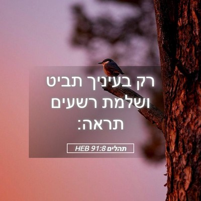 Picture 05 - תהלים 91:8 HEB - רק בעיניך תביט ושלמת רשעים - Bible Verse Picture