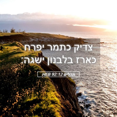 Picture 05 - תהלים 92:12 HEB - צדיק כתמר יפרח כארז בלבנון - Bible Verse Picture