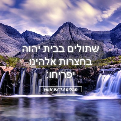 Picture 05 - תהלים 92:13 HEB - שתולים בבית יהוה בחצרות - Bible Verse Picture