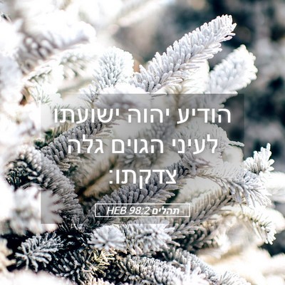 Picture 05 - תהלים 98:2 HEB - הודיע יהוה ישועתו לעיני - Bible Verse Picture
