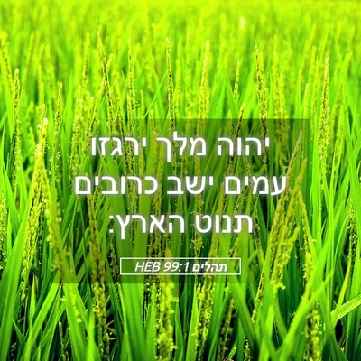 Picture 05 - תהלים 99:1 HEB - יהוה מלך ירגזו עמים ישב - Bible Verse Picture