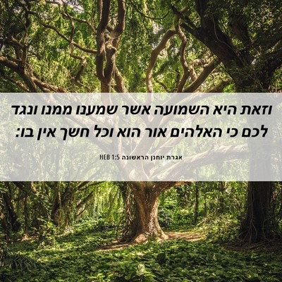 Picture 06 - אגרת יוחנן הראשונה 1:5 HEB - וזאת היא השמועה אשר שמענו - Bible Verse Picture