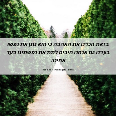 Picture 06 - אגרת יוחנן הראשונה 3:16 HEB - בזאת הכרנו את האהבה כי הוא - Bible Verse Picture
