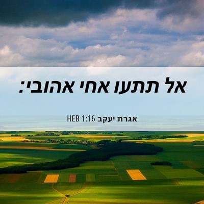 Picture 06 - אגרת יעקב 1:16 HEB - אל תתעו אחי - Bible Verse Picture