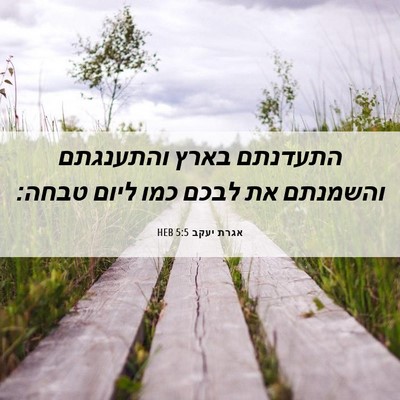 Picture 06 - אגרת יעקב 5:5 HEB - התעדנתם בארץ והתענגתם - Bible Verse Picture