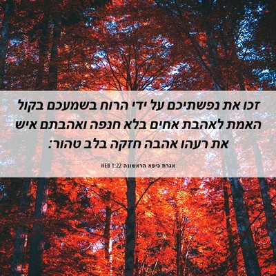 Picture 06 - אגרת כיפא הראשונה 1:22 HEB - זכו את נפשתיכם על ידי הרוח - Bible Verse Picture