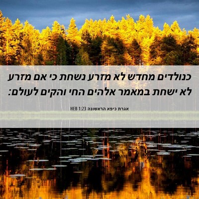 Picture 06 - אגרת כיפא הראשונה 1:23 HEB - כנולדים מחדש לא מזרע נשחת - Bible Verse Picture