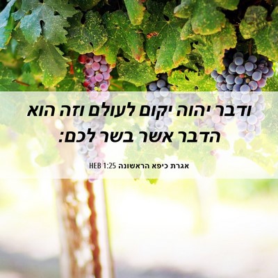 Picture 06 - אגרת כיפא הראשונה 1:25 HEB - ודבר יהוה יקום לעולם וזה - Bible Verse Picture