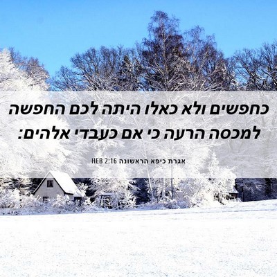 Picture 06 - אגרת כיפא הראשונה 2:16 HEB - כחפשים ולא כאלו היתה לכם - Bible Verse Picture