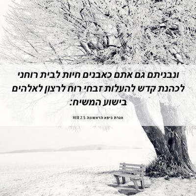 Picture 06 - אגרת כיפא הראשונה 2:5 HEB - ונבניתם גם אתם כאבנים חיות - Bible Verse Picture