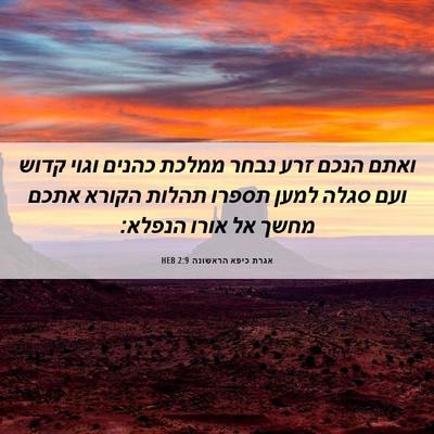 Picture 06 - אגרת כיפא הראשונה 2:9 HEB - ואתם הנכם זרע נבחר ממלכת - Bible Verse Picture