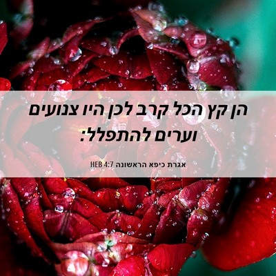 Picture 06 - אגרת כיפא הראשונה 4:7 HEB - הן קץ הכל קרב לכן היו - Bible Verse Picture