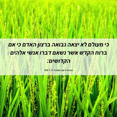 Picture 06 - אגרת כיפא השניה 1:21 HEB - כי מעולם לא יצאה נבואה - Bible Verse Picture