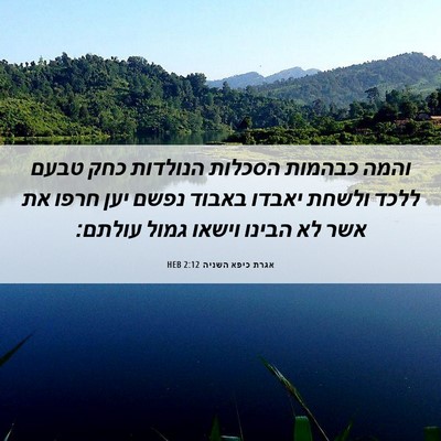 Picture 06 - אגרת כיפא השניה 2:12 HEB - והמה כבהמות הסכלות הנולדות - Bible Verse Picture