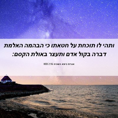 Picture 06 - אגרת כיפא השניה 2:16 HEB - ותהי לו תוכחת על חטאתו כי - Bible Verse Picture