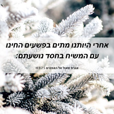 Picture 06 - אגרת שאול אל האפסים 2:5 HEB - אחרי היותנו מתים בפשעים - Bible Verse Picture