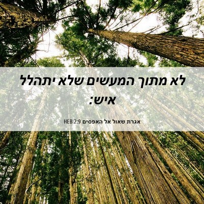 Picture 06 - אגרת שאול אל האפסים 2:9 HEB - לא מתוך המעשים שלא יתהלל - Bible Verse Picture