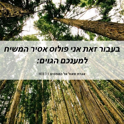 Picture 06 - אגרת שאול אל האפסים 3:1 HEB - בעבור זאת אני פולוס אסיר - Bible Verse Picture
