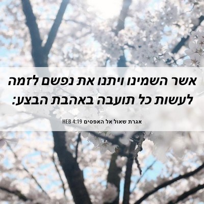 Picture 06 - אגרת שאול אל האפסים 4:19 HEB - אשר השמינו ויתנו את נפשם - Bible Verse Picture
